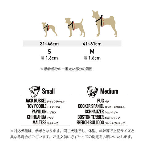 5d10d505752179113f8c6410