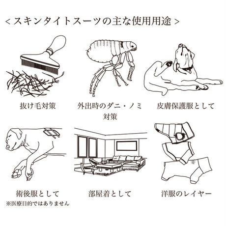 5def30f963538a37ad1d343d