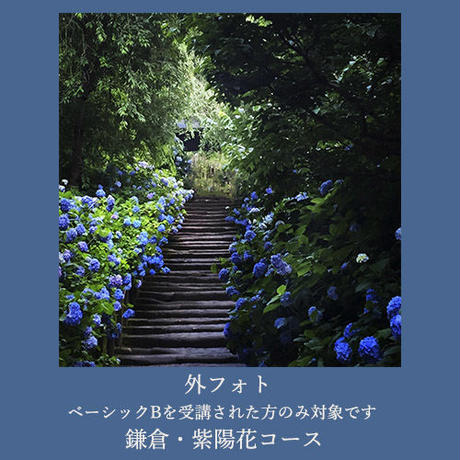 58cfe242748e5bfa4301b00b