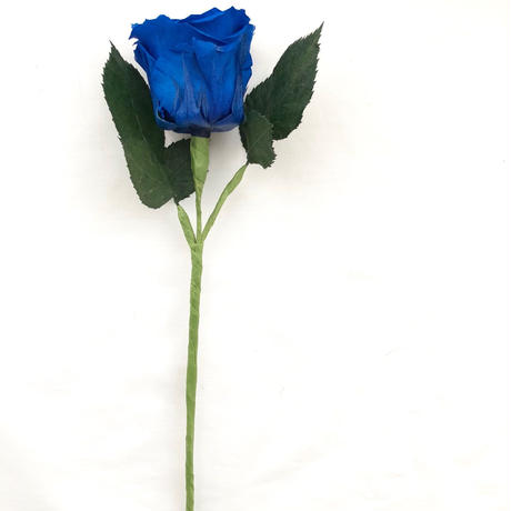 5b111d225496ff6d3d001004