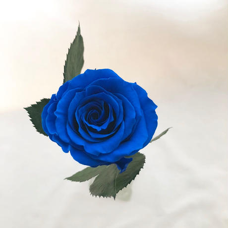 5b111d225496ff6d3d001004