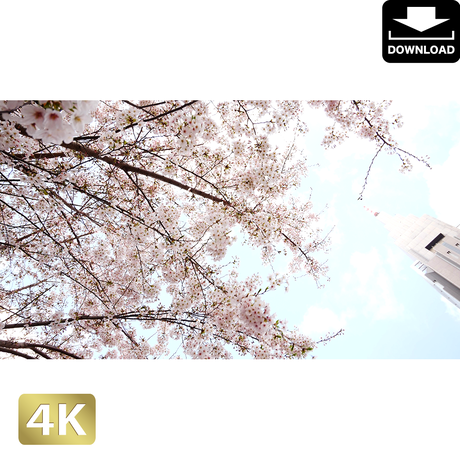 5aac670aa6e6ee60d9004c10