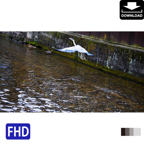 5a978650ef843f352d0014b8