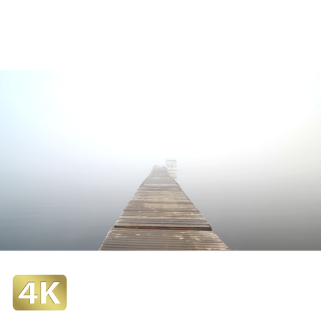 5a66d276ed05e629c9001c96
