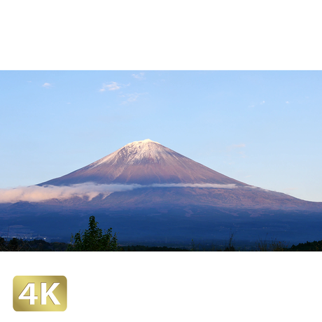 5a6ac951c8f22c604c0011f7