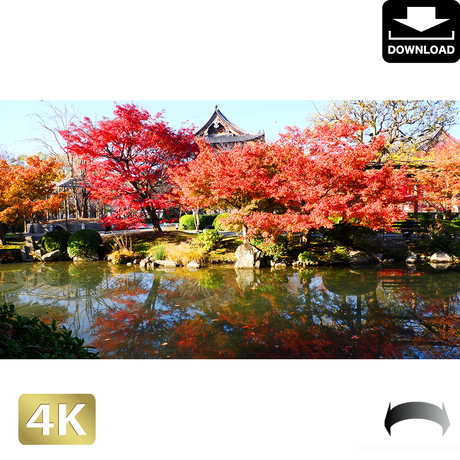 5ac043cf434c722b31000009