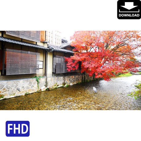 5a978691ef843f74d800098e