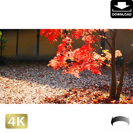 5ac047a85f7866777100003b