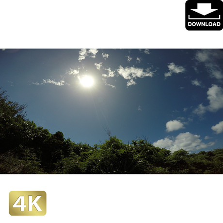 5aa766000af15b641f001142