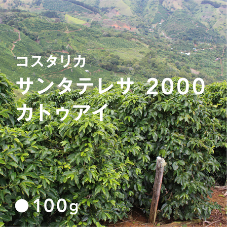 5bfb7ac7c3976c3294000168