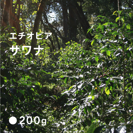 5bc5b79b5496ff33bf000266