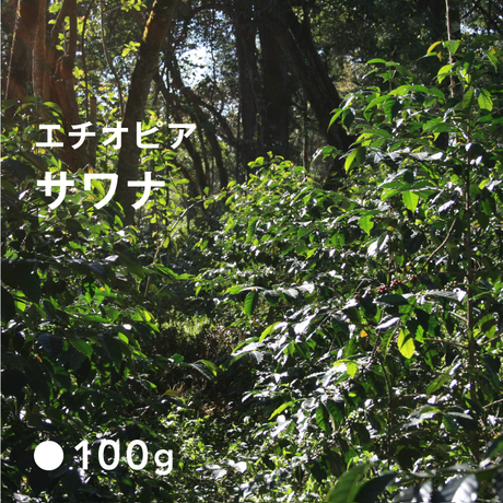 5c904e8489c42d0ba2a0e926