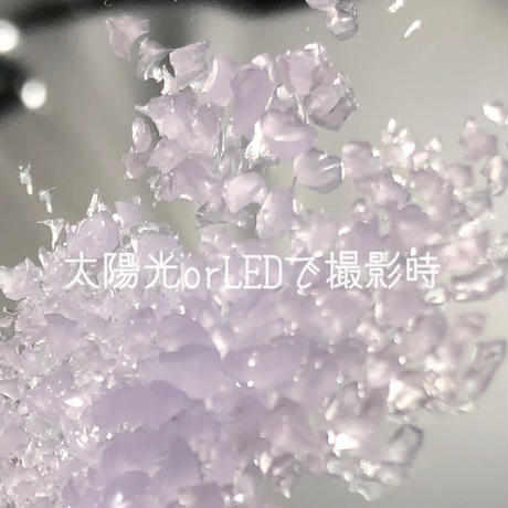 5bc5e66e5496ff2fe3000239