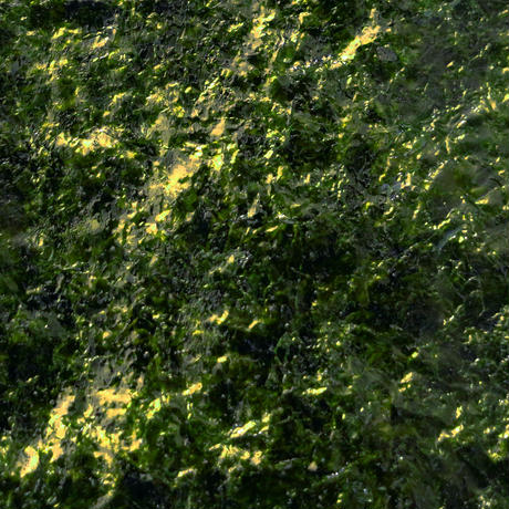 56304ba32b34924ef7000763