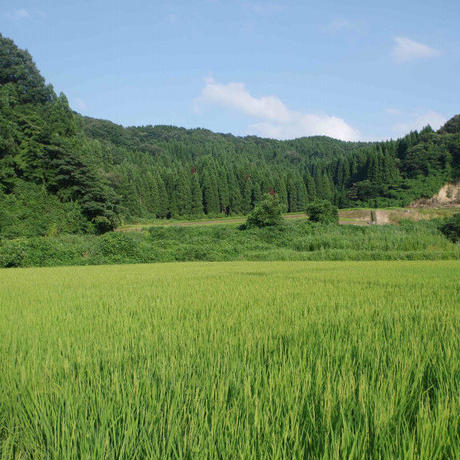 5a1cf689428f2d2ed40008d7