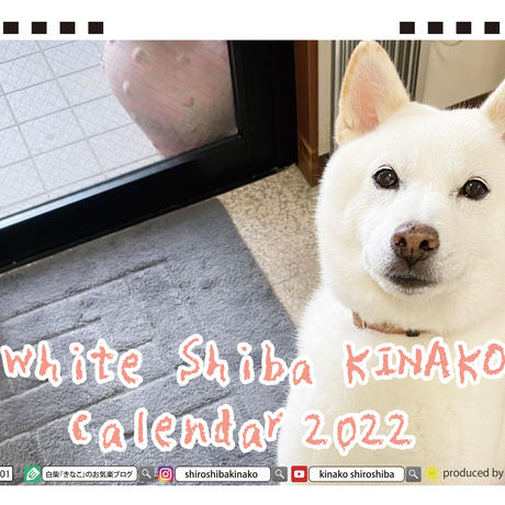 高品質 柴ワンコ鏡餅 22 送料無料 フェルト Www Comisariatolosandes Com