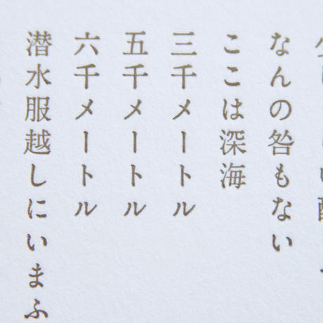 5494f9713bcba984170005db