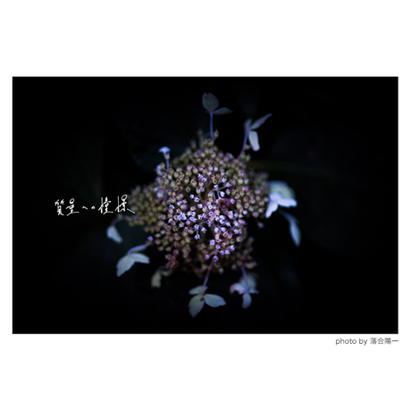 5d6d400ce562810d77461cd1