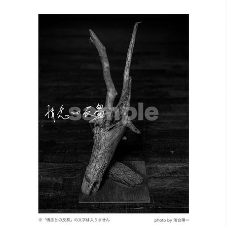 5d77904b8606483bf4ff7e8a