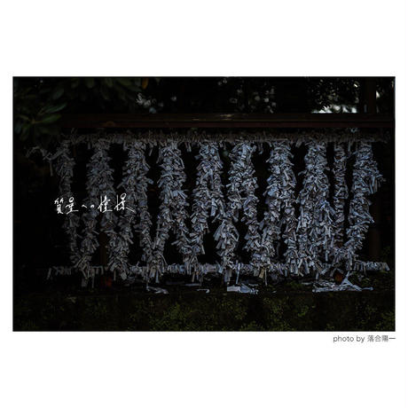5d6d400ce562810d77461cd1