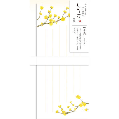 5d5b83114c806405e0310289