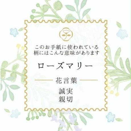 5c4959ae3b63650b64cfeb80