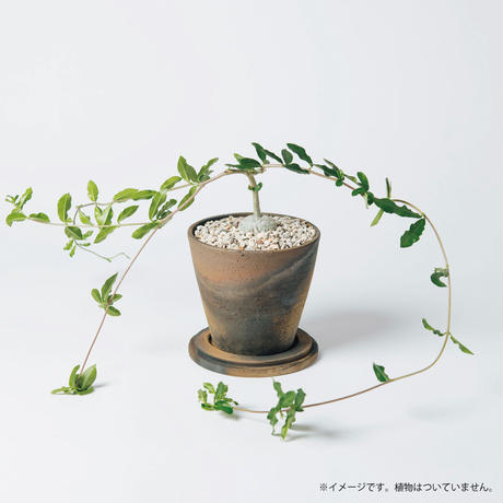 5d9ff780bc45ac03eb21126d