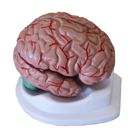 でおすすめアイテム 脳みそライト フロアスタンド