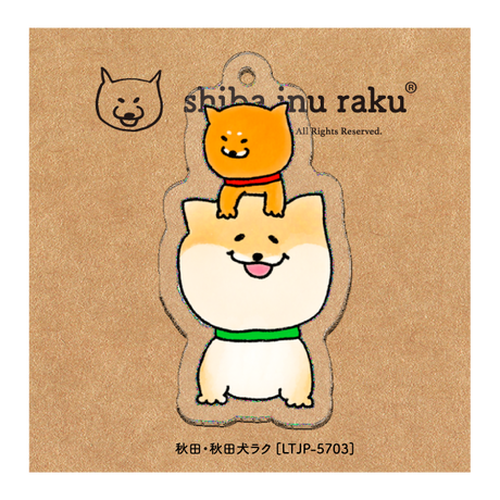5c8079b9a9ac4c5c6036a881