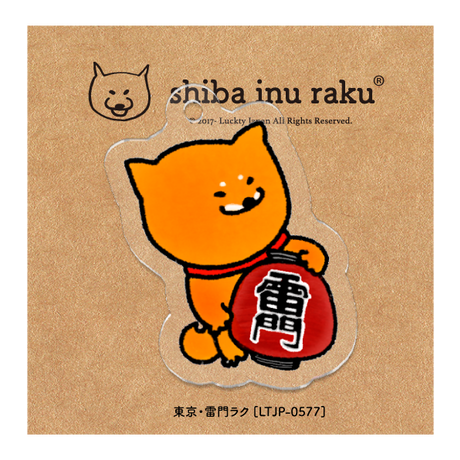 5c807a88a9ac4c535936a932