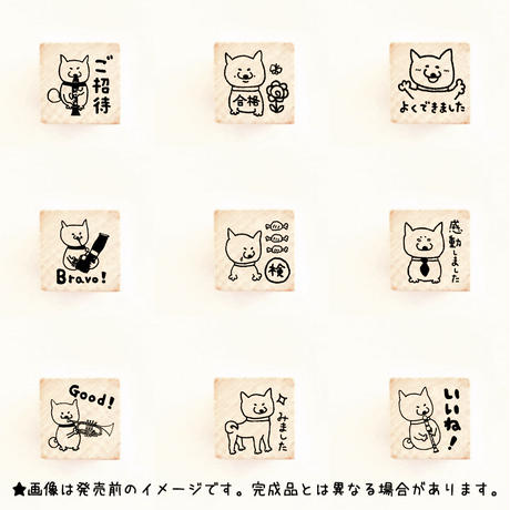 5c3047d914444806a719f9a4