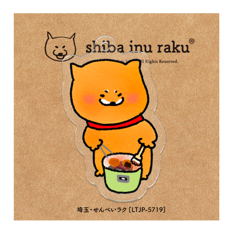 5c807a88a9ac4c535936a932