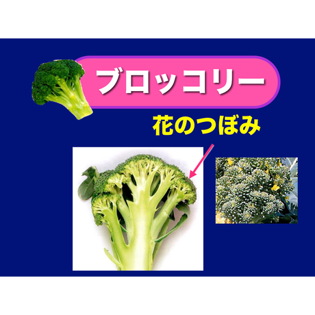 5d072c69c3a9676e0b91d9e7