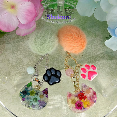 猫アクセサリー Stores