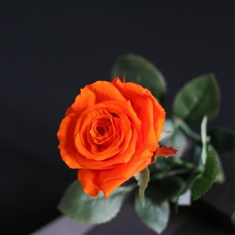 5a0fe91af22a5b2a960073c8