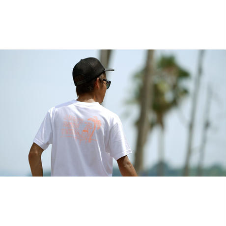 5b4da7205f7866383c002606