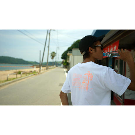5b4da7205f7866383c002606