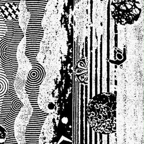5a9ce9f56bf1393c0c000080