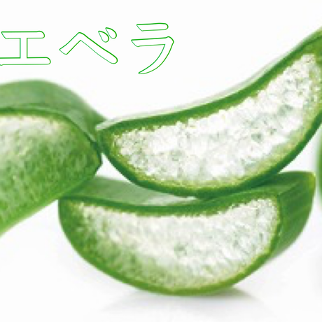 5ed702325157622c3324281c