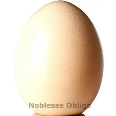 5ef7008e1829cd243b994517