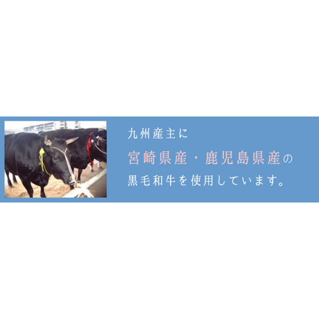 5f0bc796ea3c9d055e34aa95