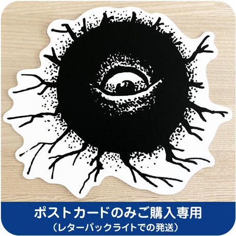 バックベアード Stores