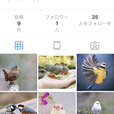5cfab5c6c3a9677a64e7dcab
