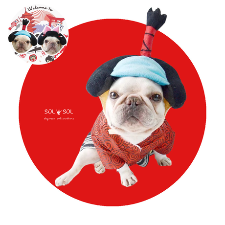 売り切れ♪犬用 かつら ハゲちゃびん サムライ パグ Pompreece 売り切れ♪犬用 かつら ハゲちゃびん サムライ パグ Pompreece