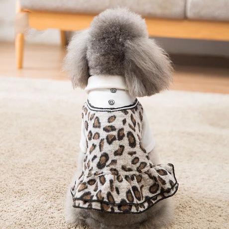 犬ワンピース Stores