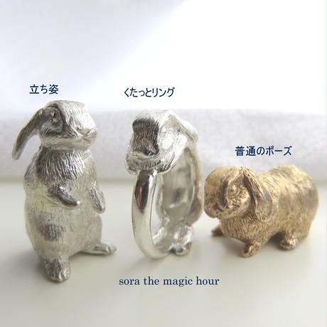 51a35819a95dcb4765000103