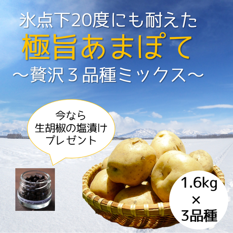 5e69be659df1636c837b5030