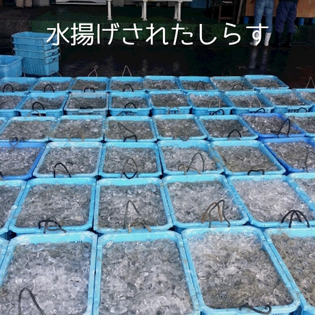 5e6997462a9a4269ca65ff66