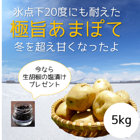5e69bdcb2a9a421019c5e5e0