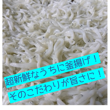 5e68de709df163299a3fa884